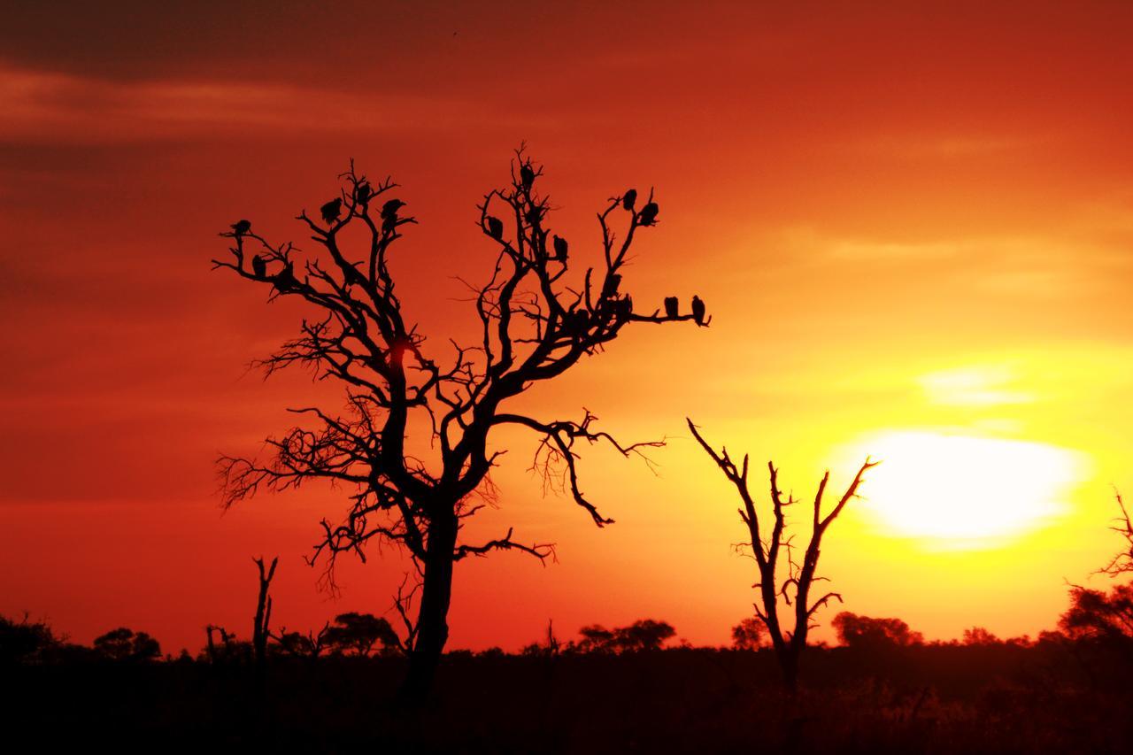 Sweni Lodge 91 Mjejane Kruger Park Hectorspruit Екстериор снимка